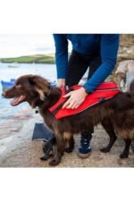 red paddle dog life jacket