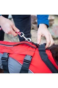 red paddle buoyancy leash dog buoyancy