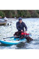 red paddle dog life vest handle