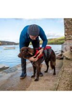 red paddle dog life vest neck band